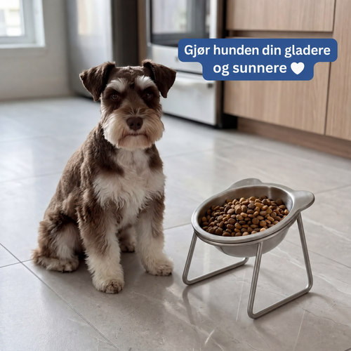 Petnora Ortopedisk Matskål med hund på kjøkkenet